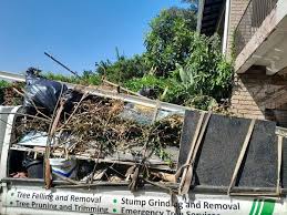  Rice, TX Junk Removal Services Pros